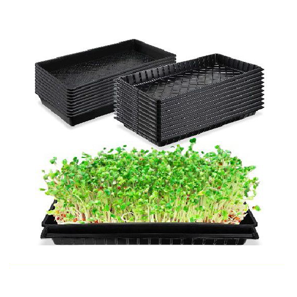 10-Set Seed Sprouter Tray