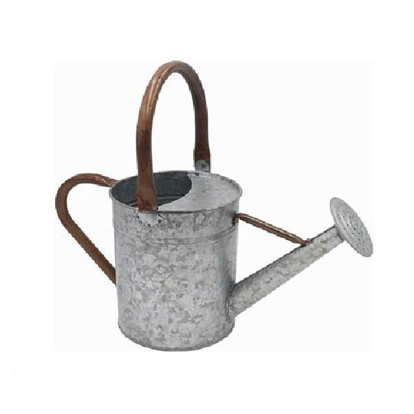 Vintage Farmhouse Watering Can